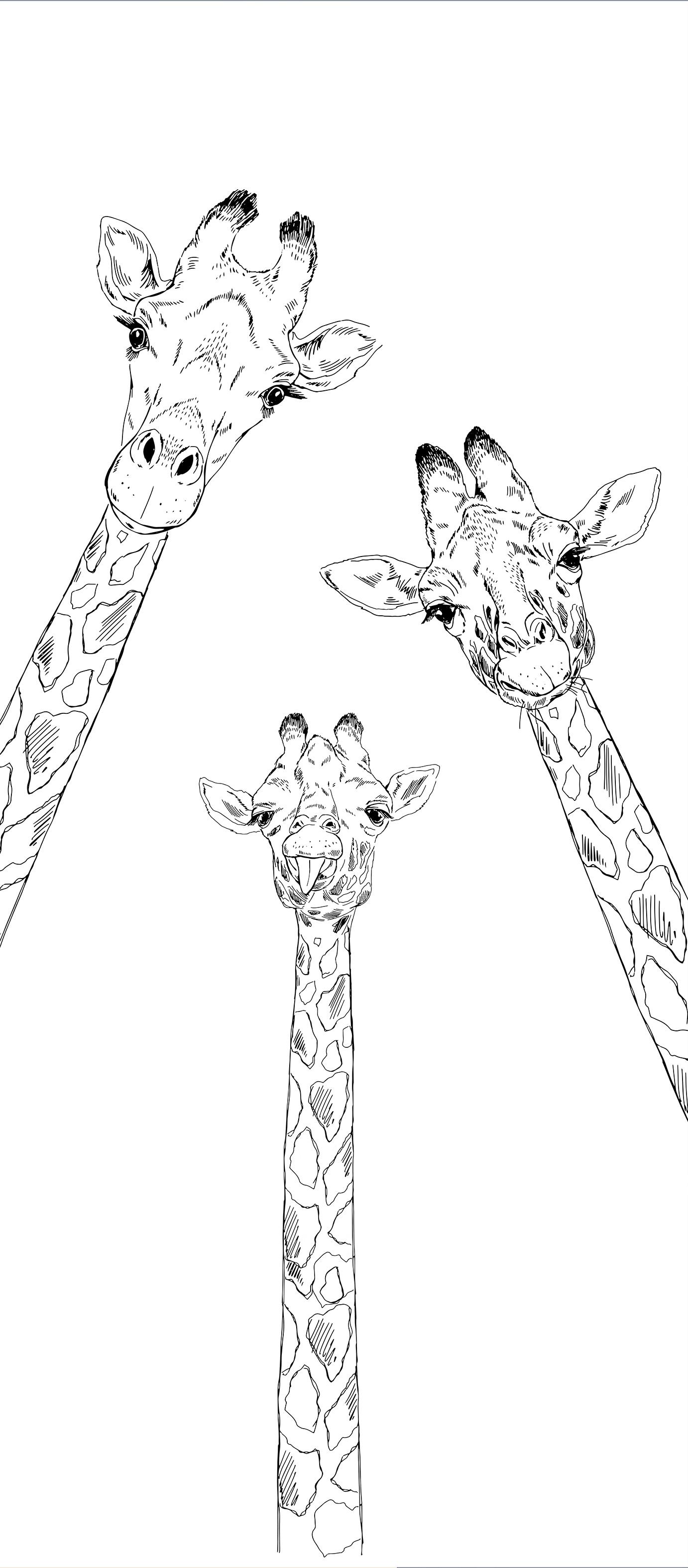 KIDS GIRAFFE FAMILY FGK-12.2
