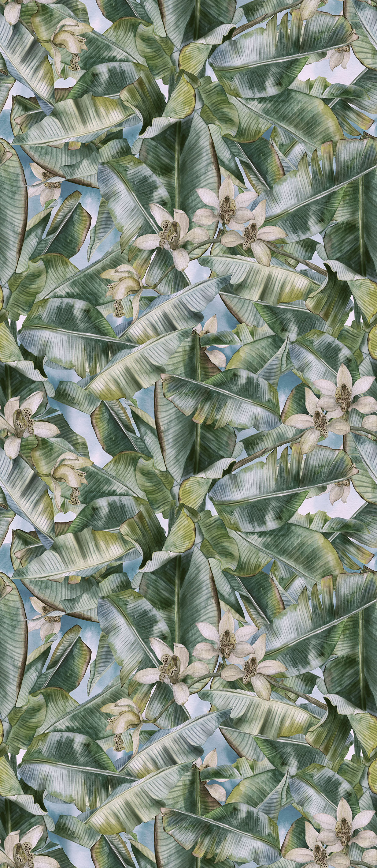 TROPICS EVA EK-10.10