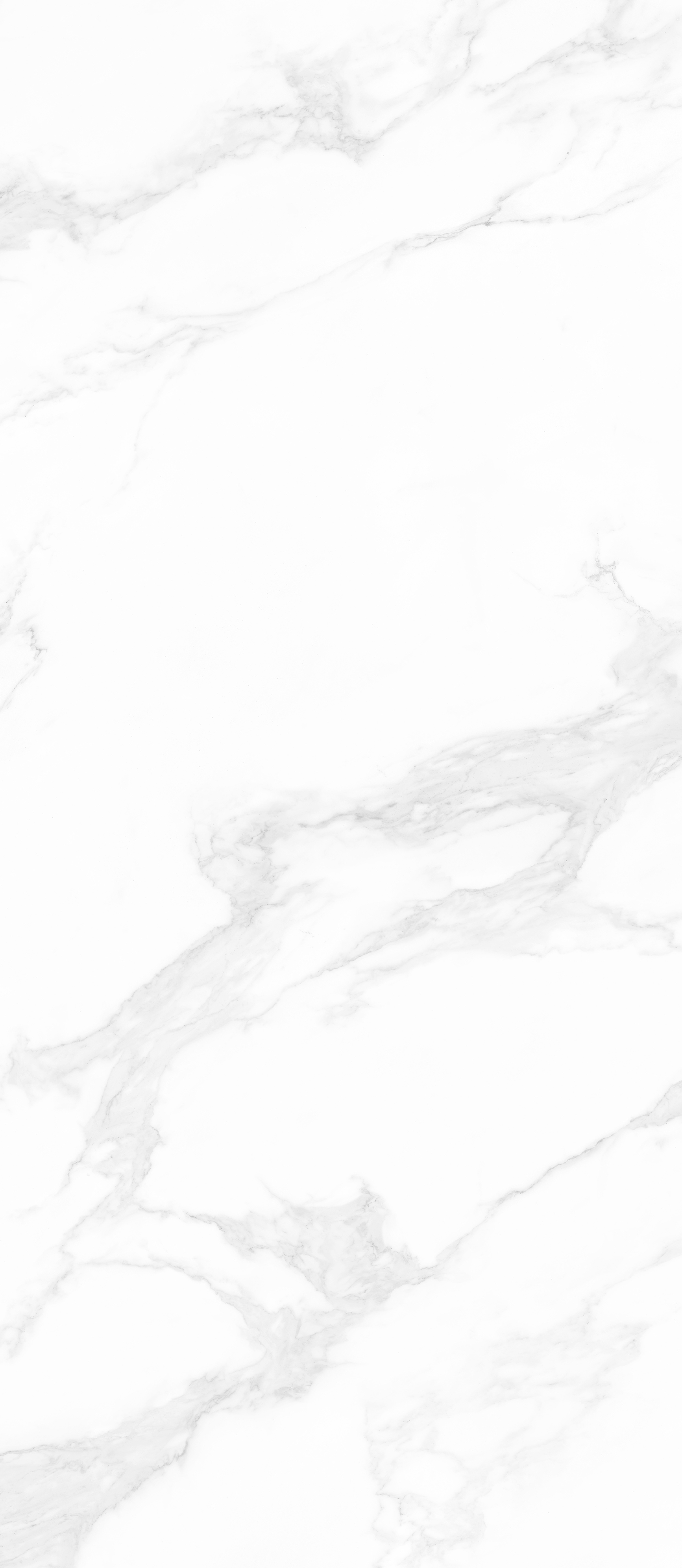 CALACATTA  SILVER SNOW MCM-1.1