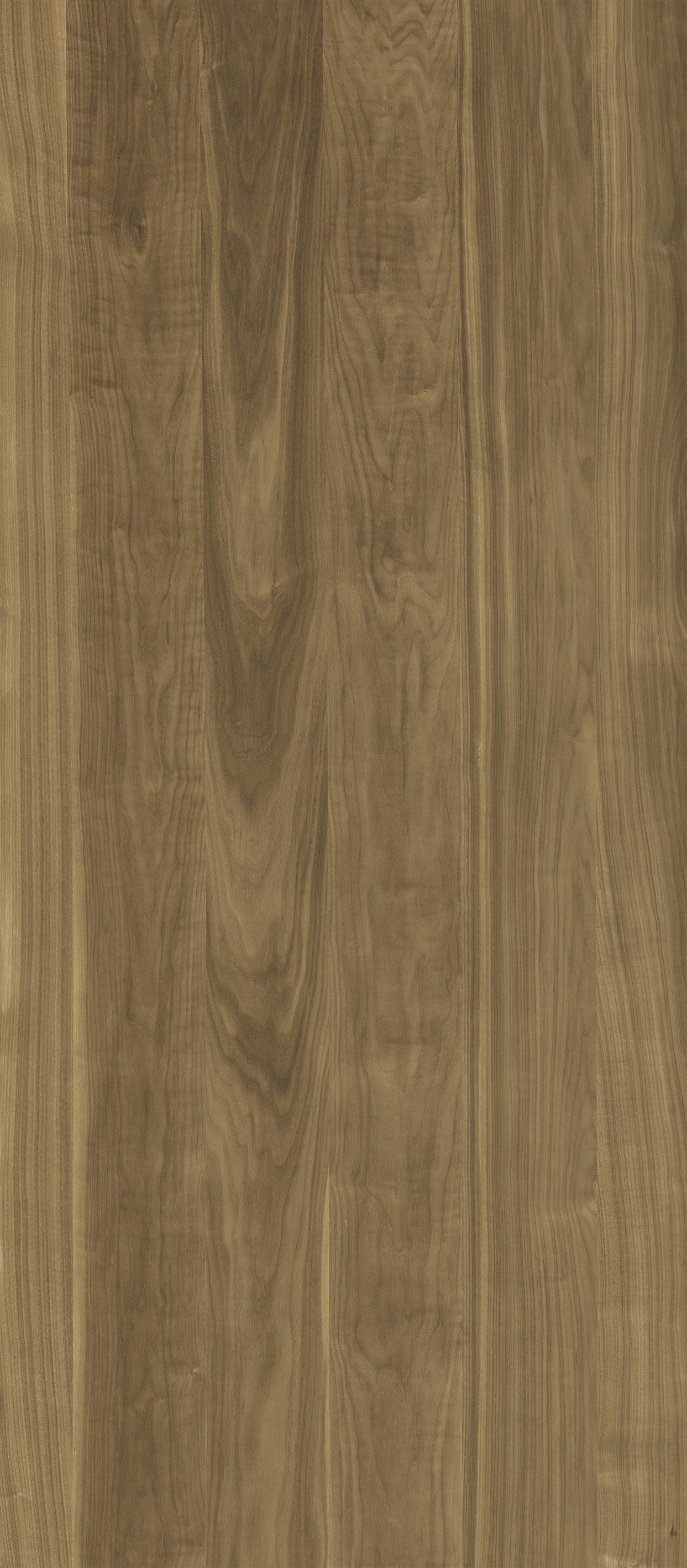 WOOD American walnut honey HW-1.1