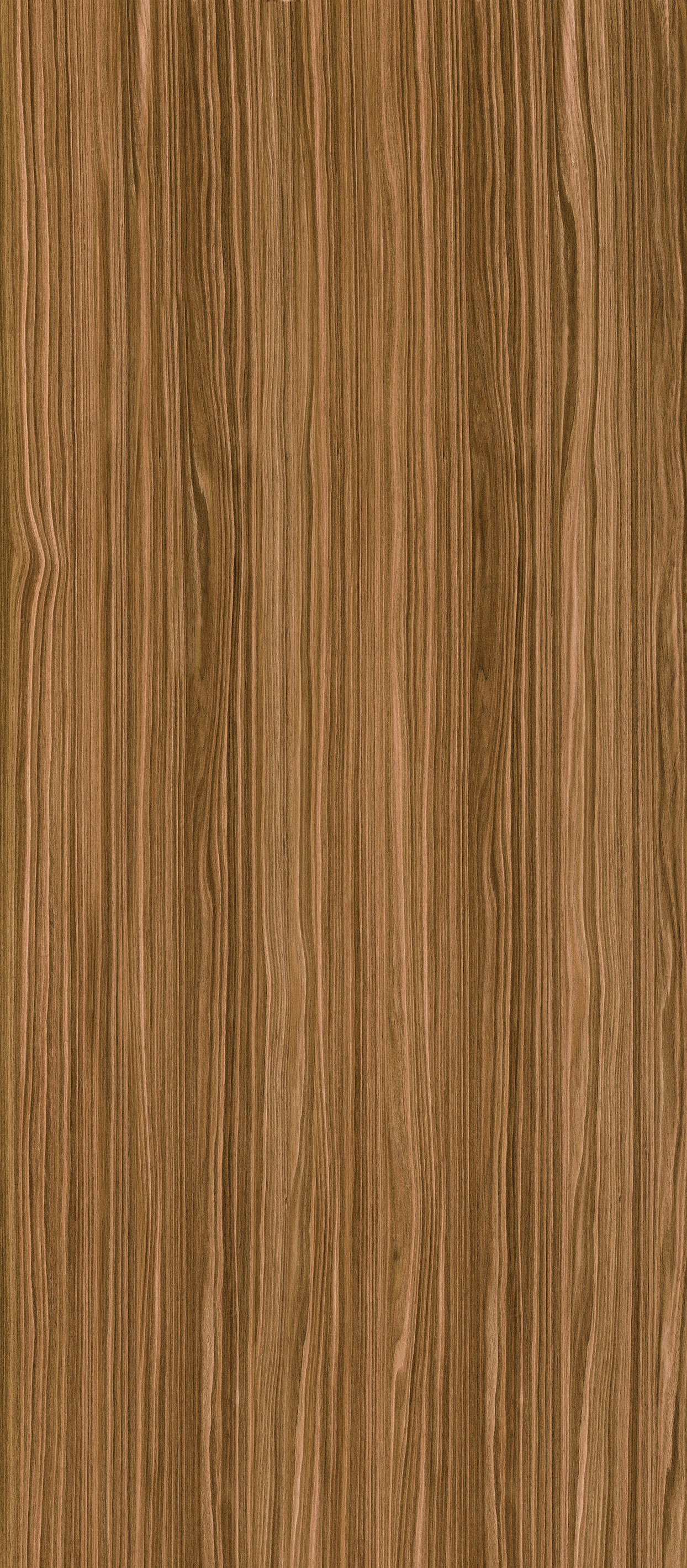 WOOD ZEBRANO LIGHT ZL-1.1