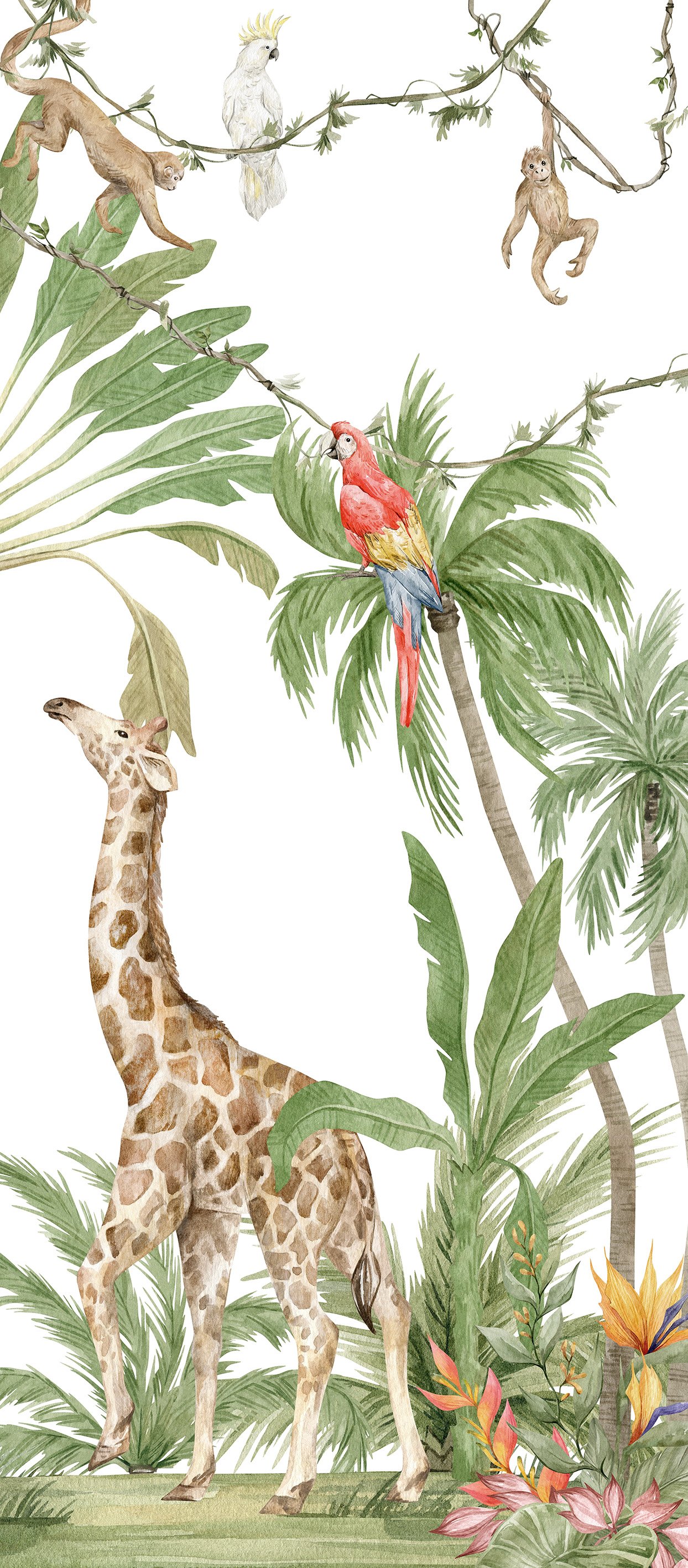 KIDS LIMPOPO PLK-20.2