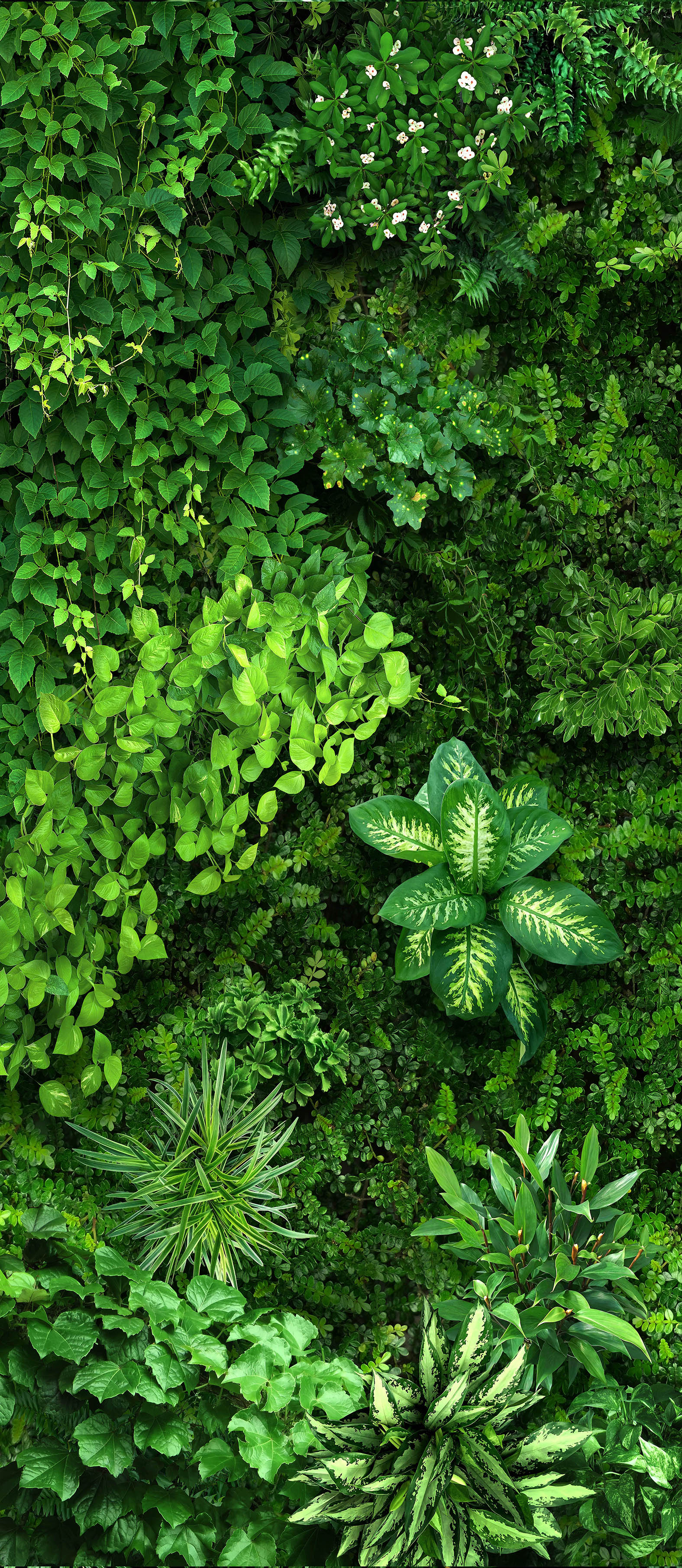 GREENHOUSE  PHYTO WALL FW-1.1