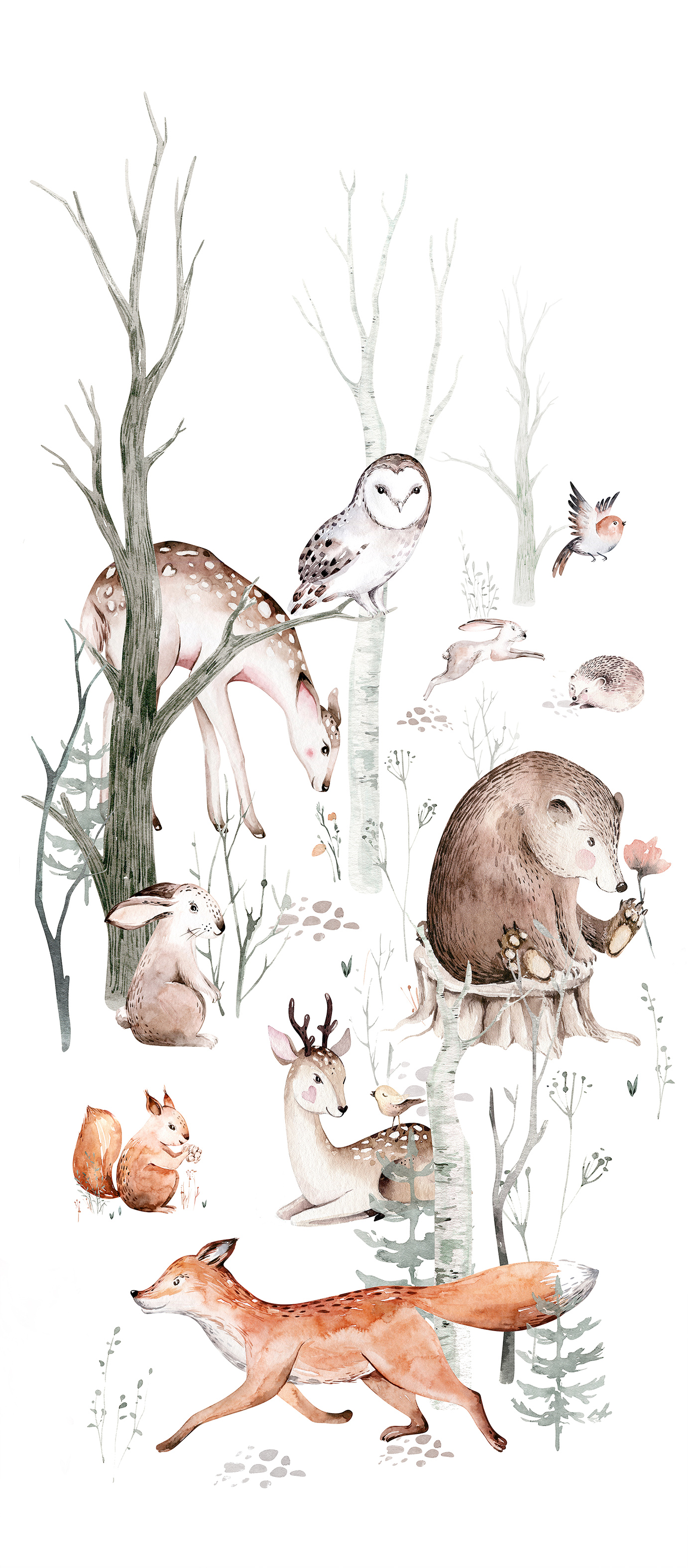 KIDS FOREST FAMILY FFK-19.1