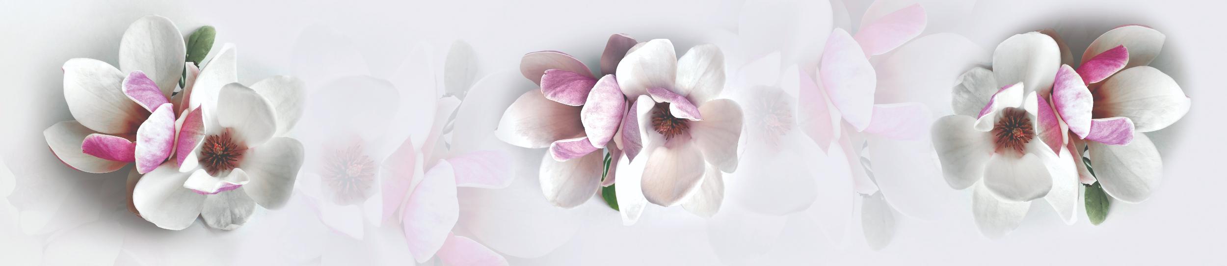 ART 094