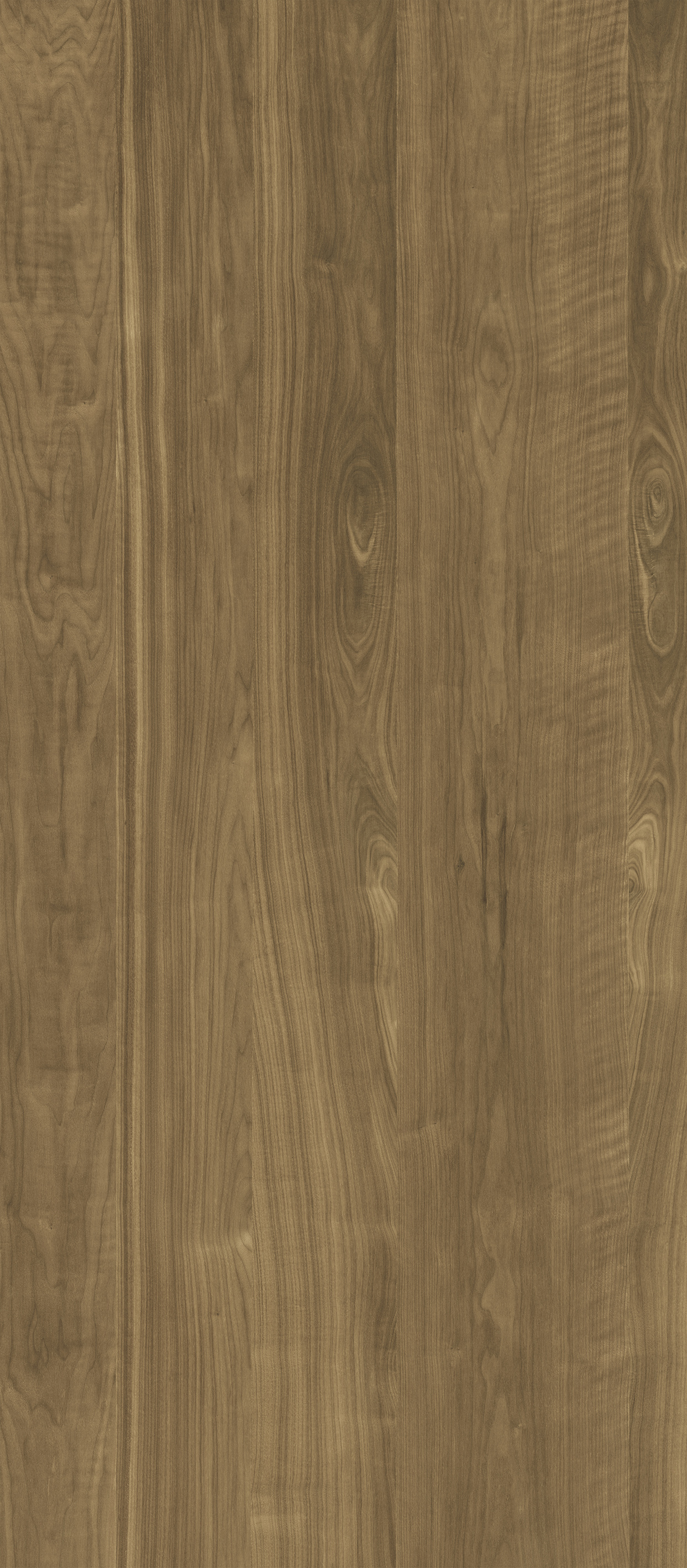 WOOD American walnut honey HW-1.3