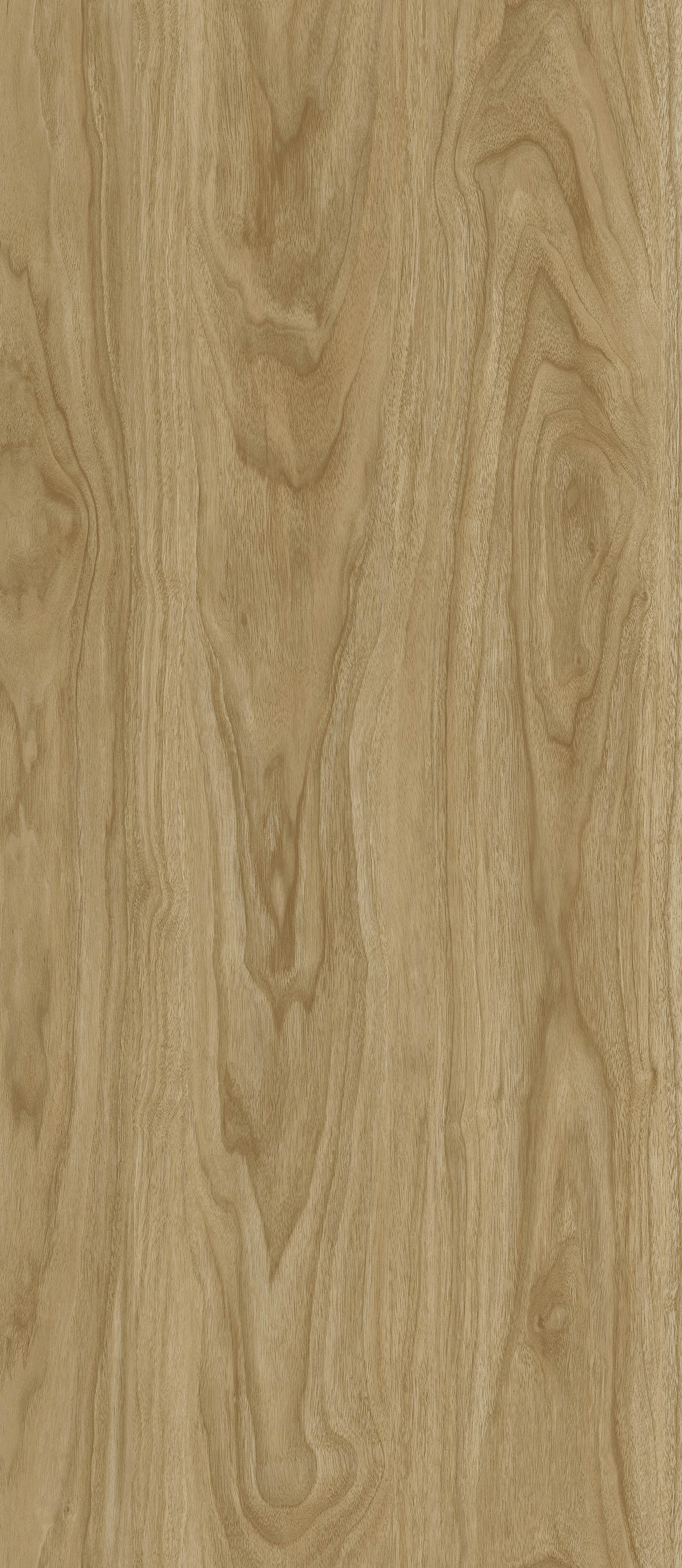 OAK  MACRO CAMEL MC-1.2