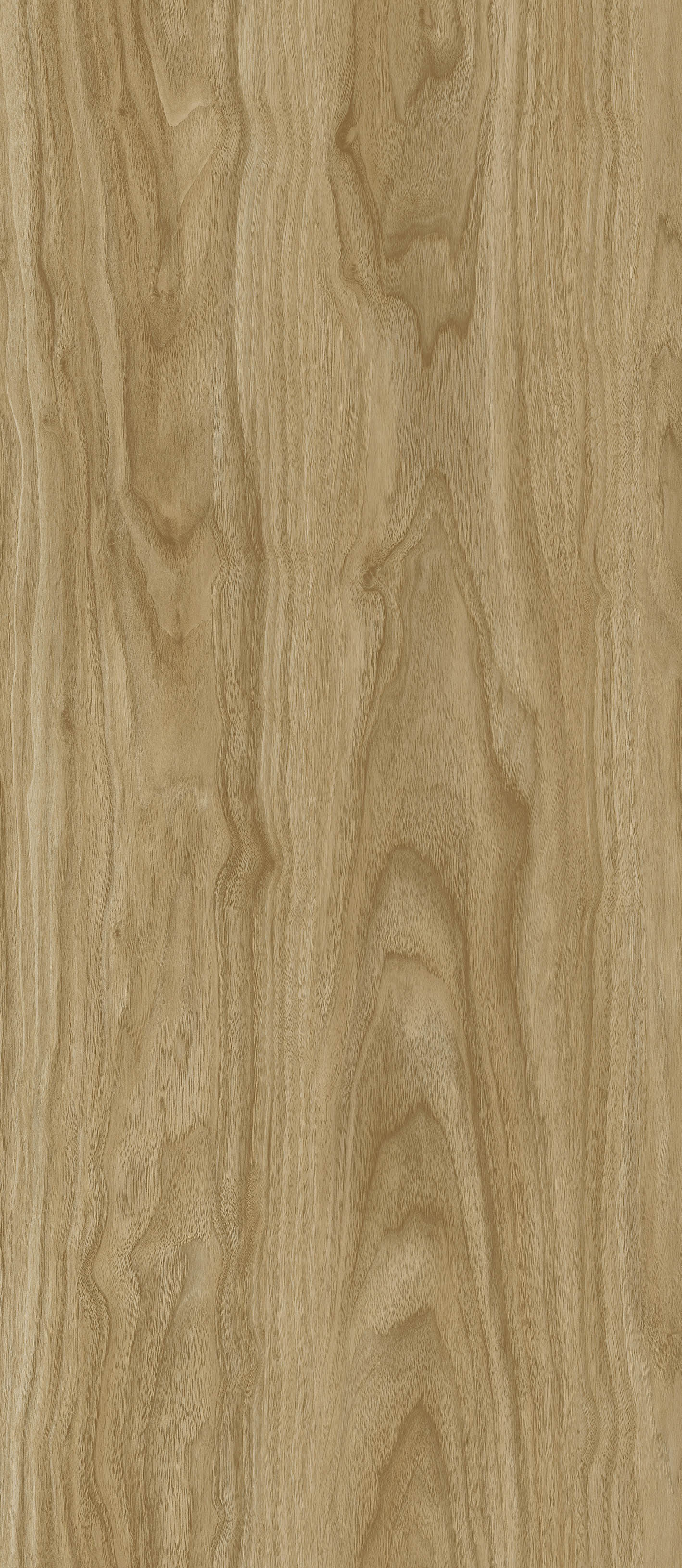 OAK  MACRO CAMEL MC-1.1