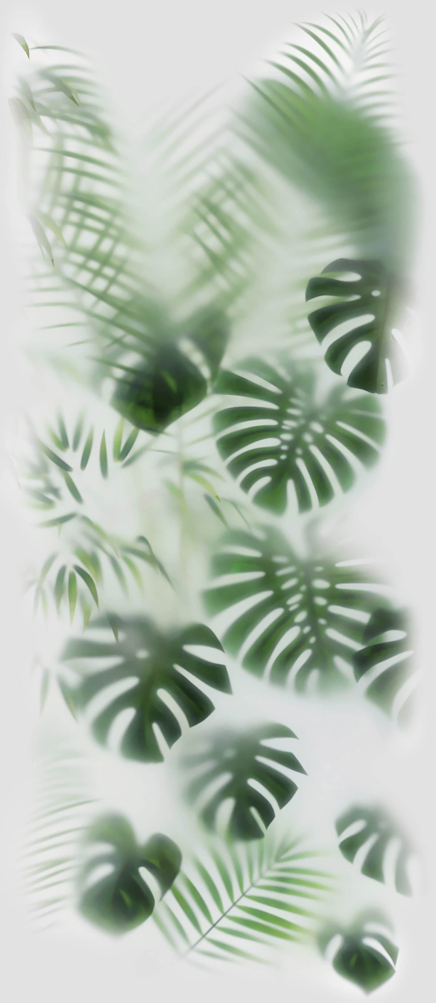 TROPICS ISLAND IS-1.2