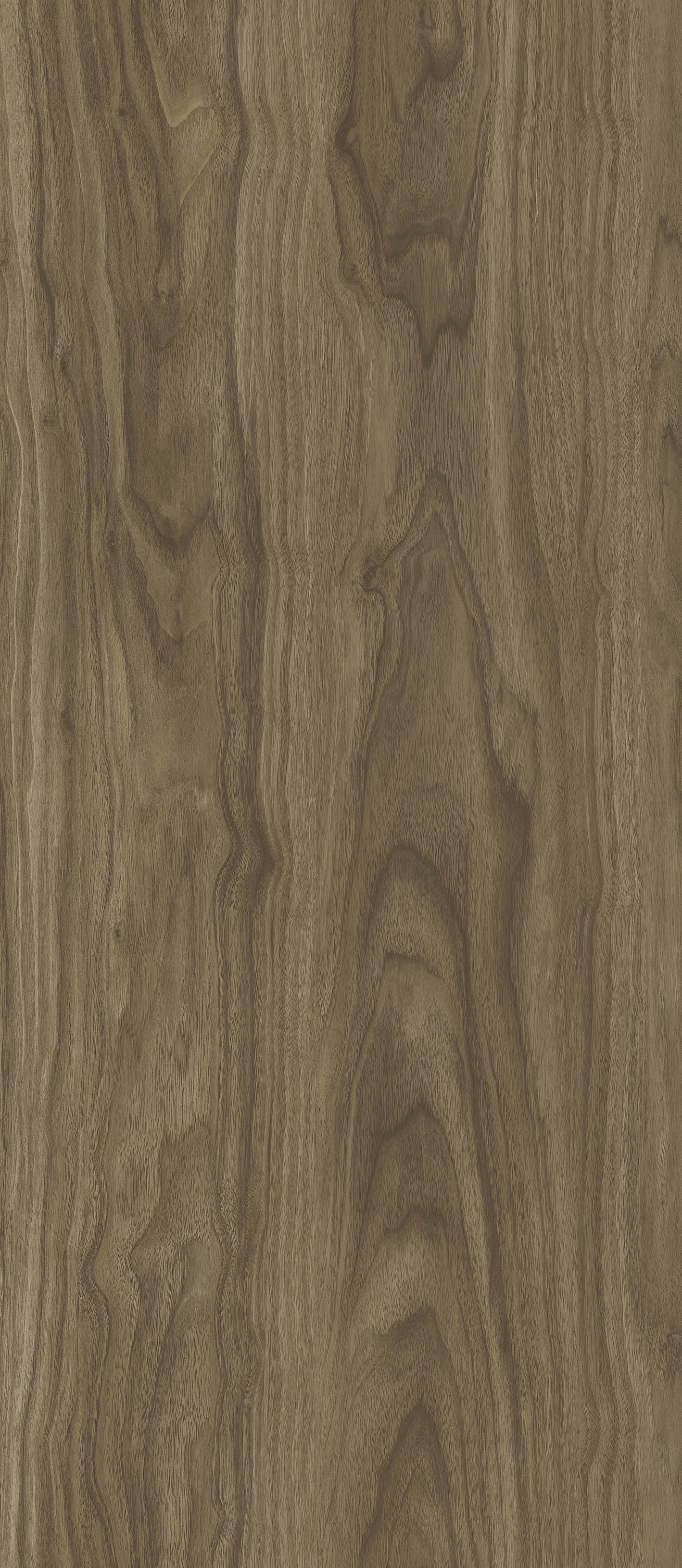 OAK  MACRO ARABICA MK-1.1