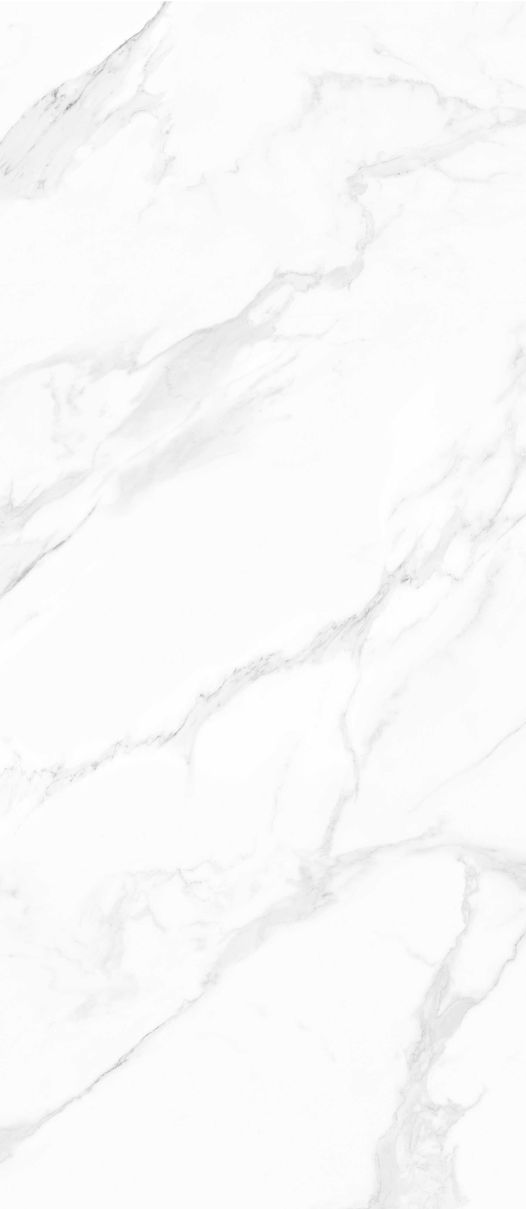 CALACATTA  SILVER SNOW MCM-1.4