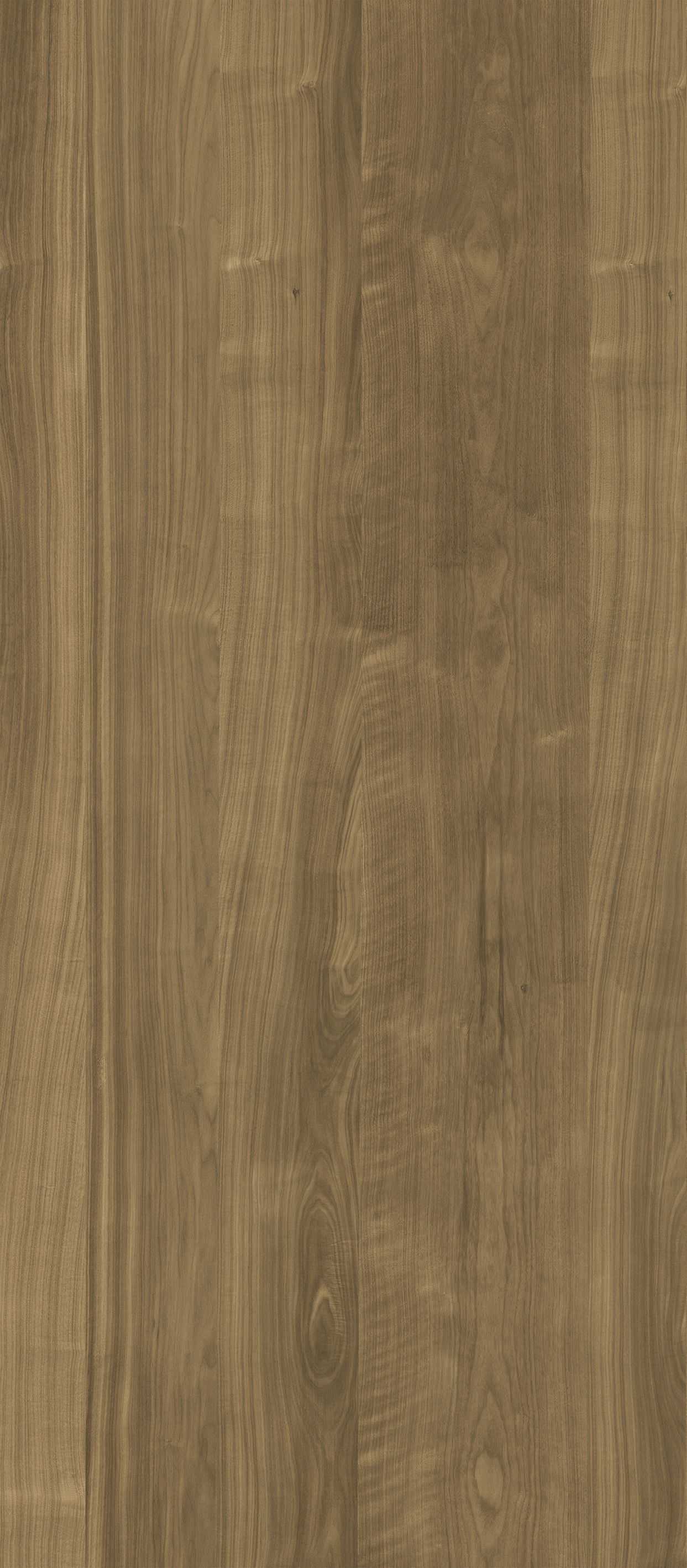WOOD American walnut honey HW-1.4