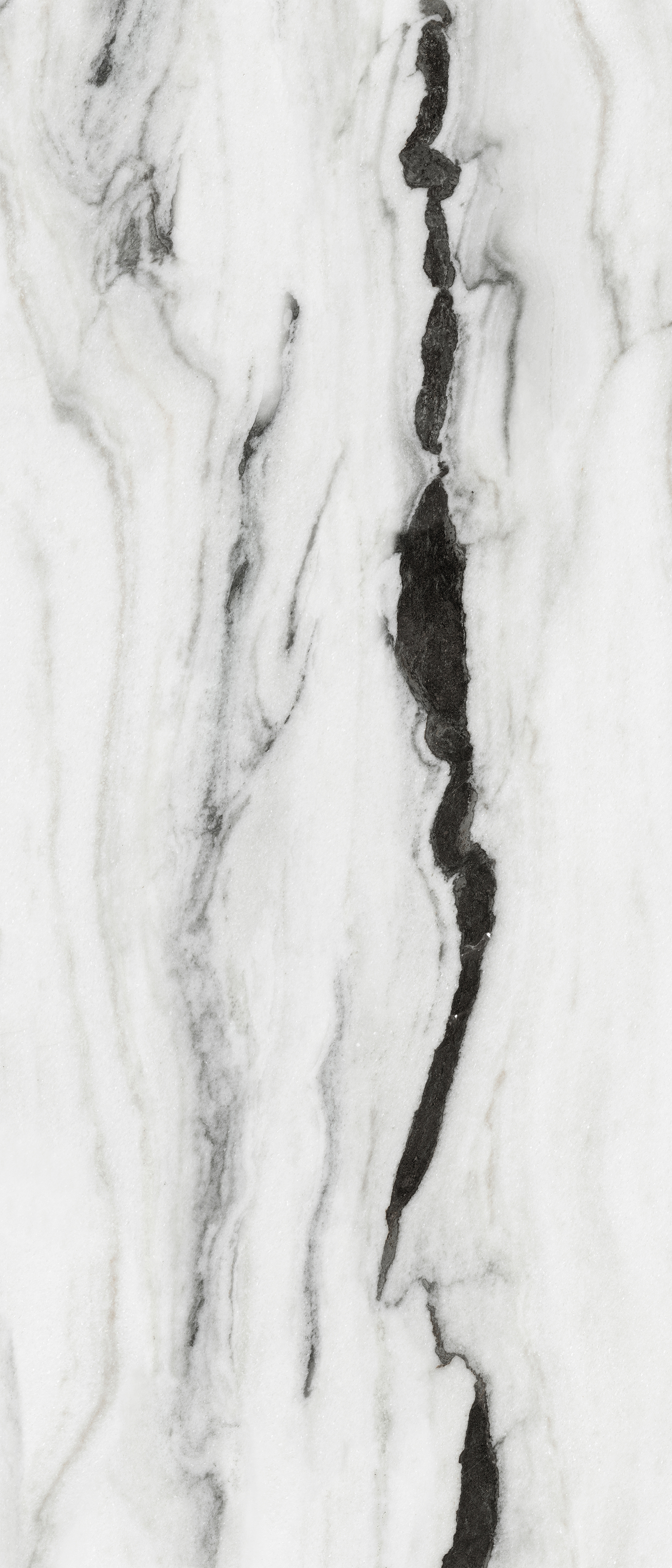 034-4 DP
