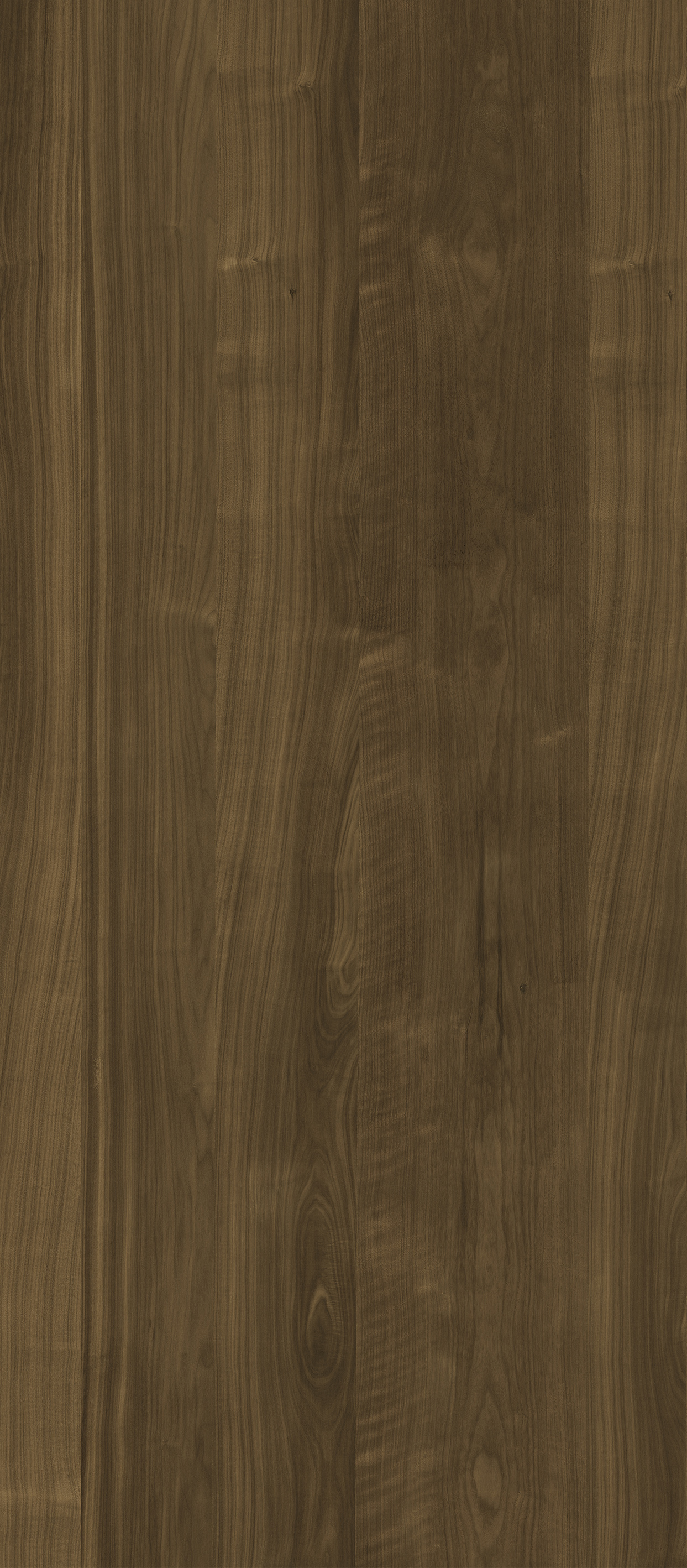 WOOD American walnut WA-1.4