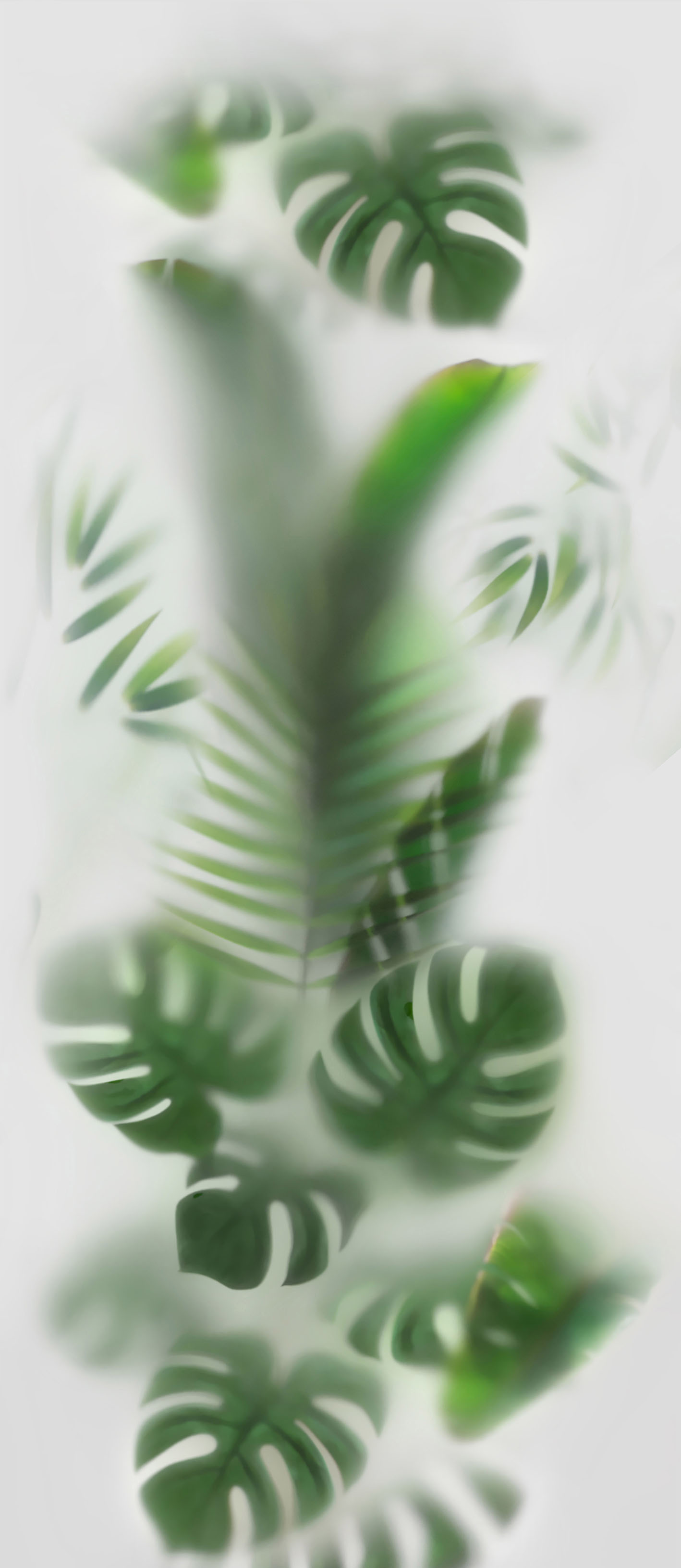 TROPICS ISLAND IS-1.4