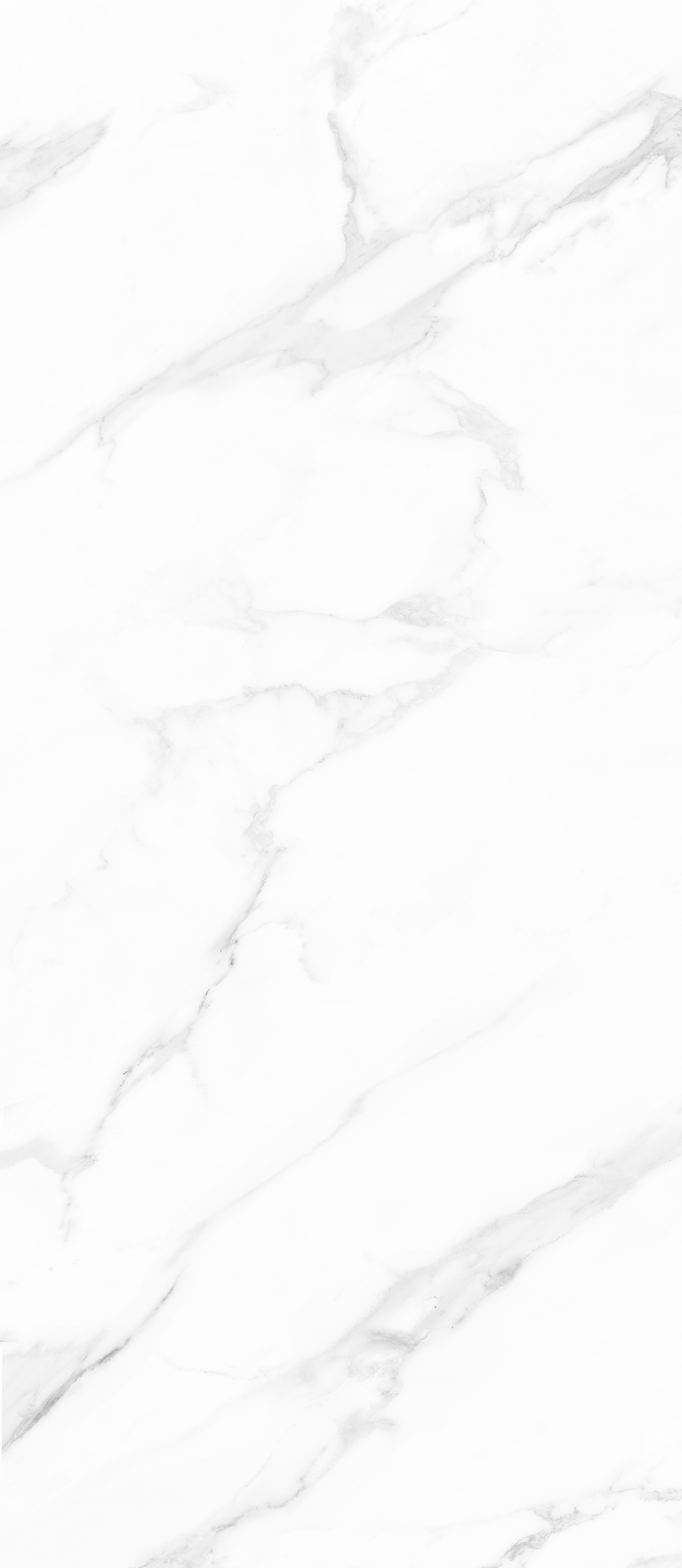 CALACATTA  SILVER SNOW MCM-1.2