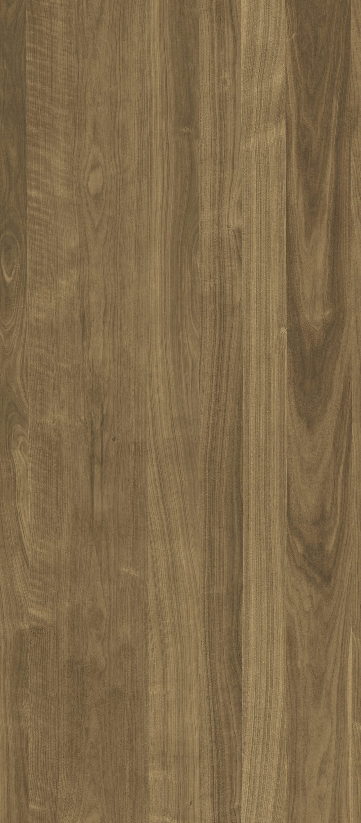 WOOD American walnut honey HW-1.2