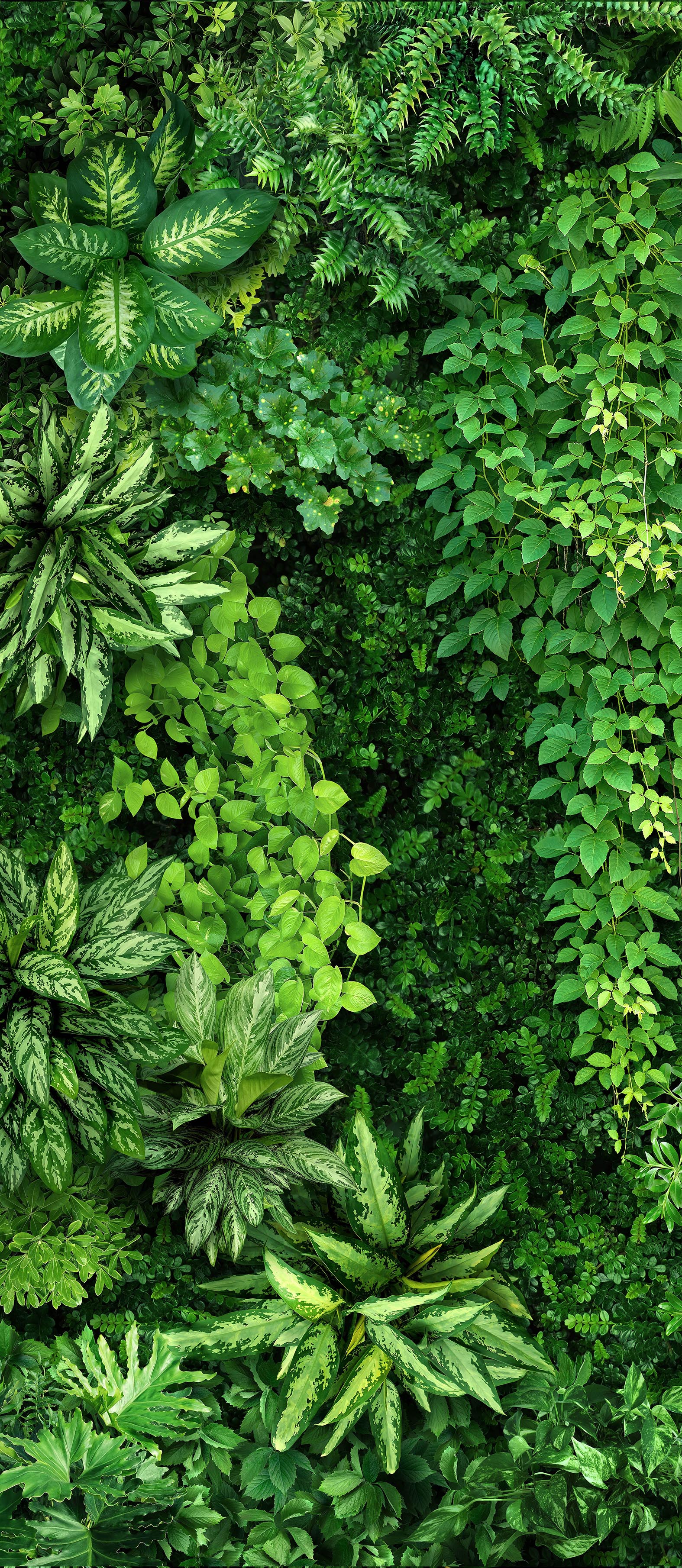 GREENHOUSE  PHYTO WALL FW-1.3