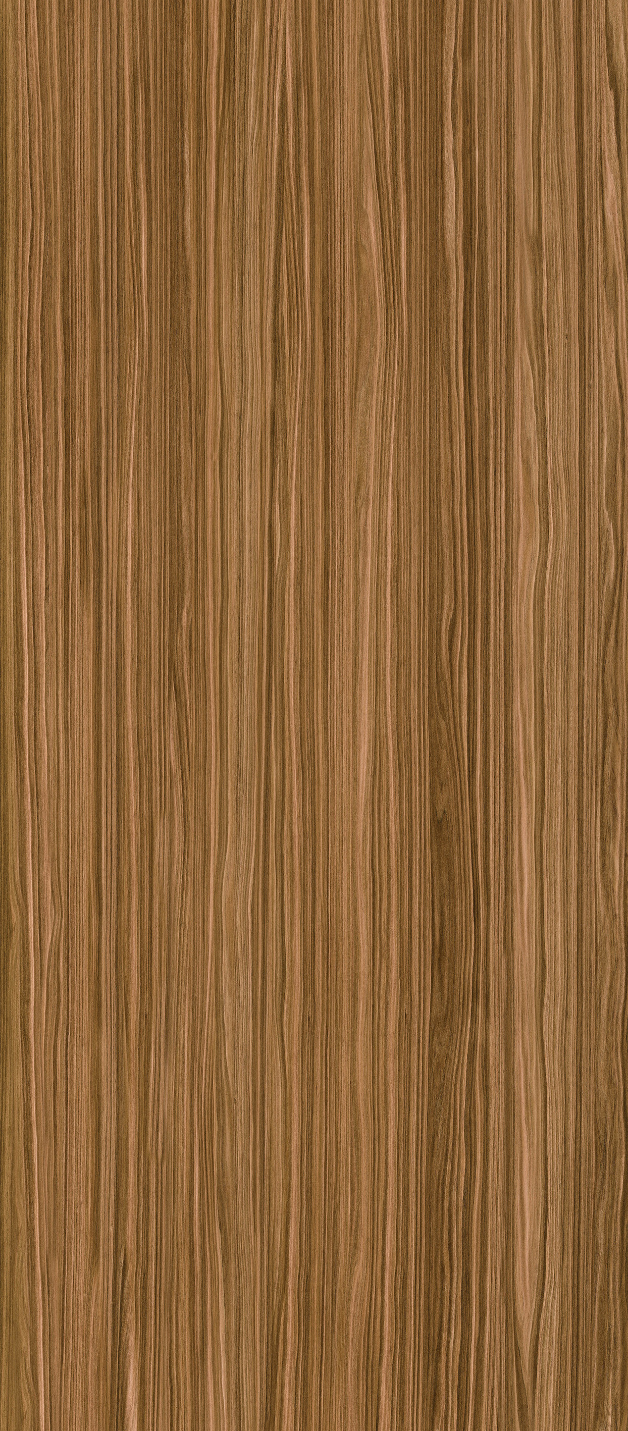 WOOD ZEBRANO LIGHT ZL-1.2