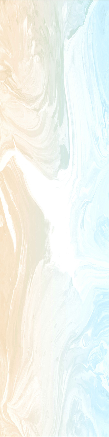 IP  011
